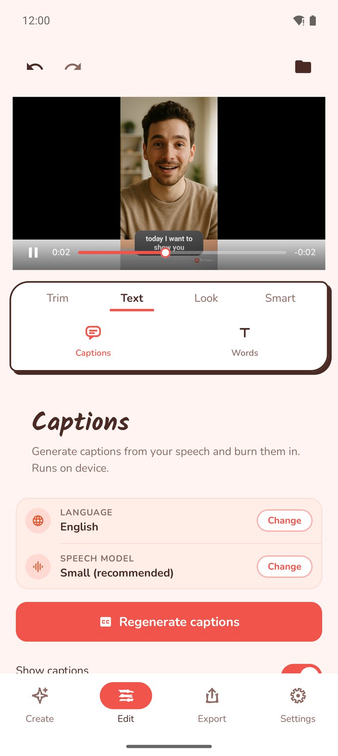 Reelvana tool strip and captions panel with language and model controls